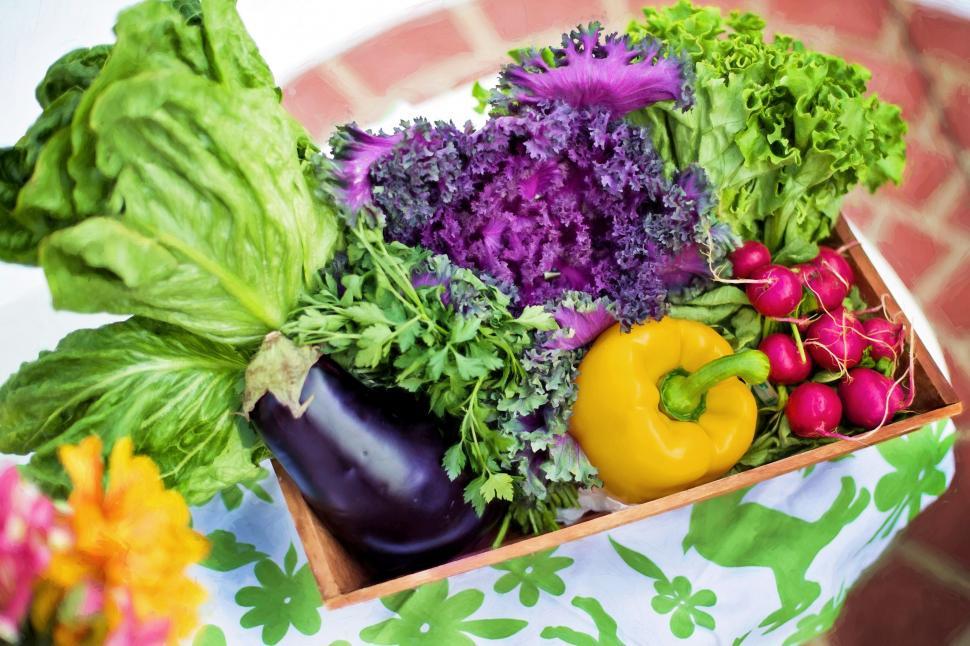Free Image of Assorted Vegetables in Box 
