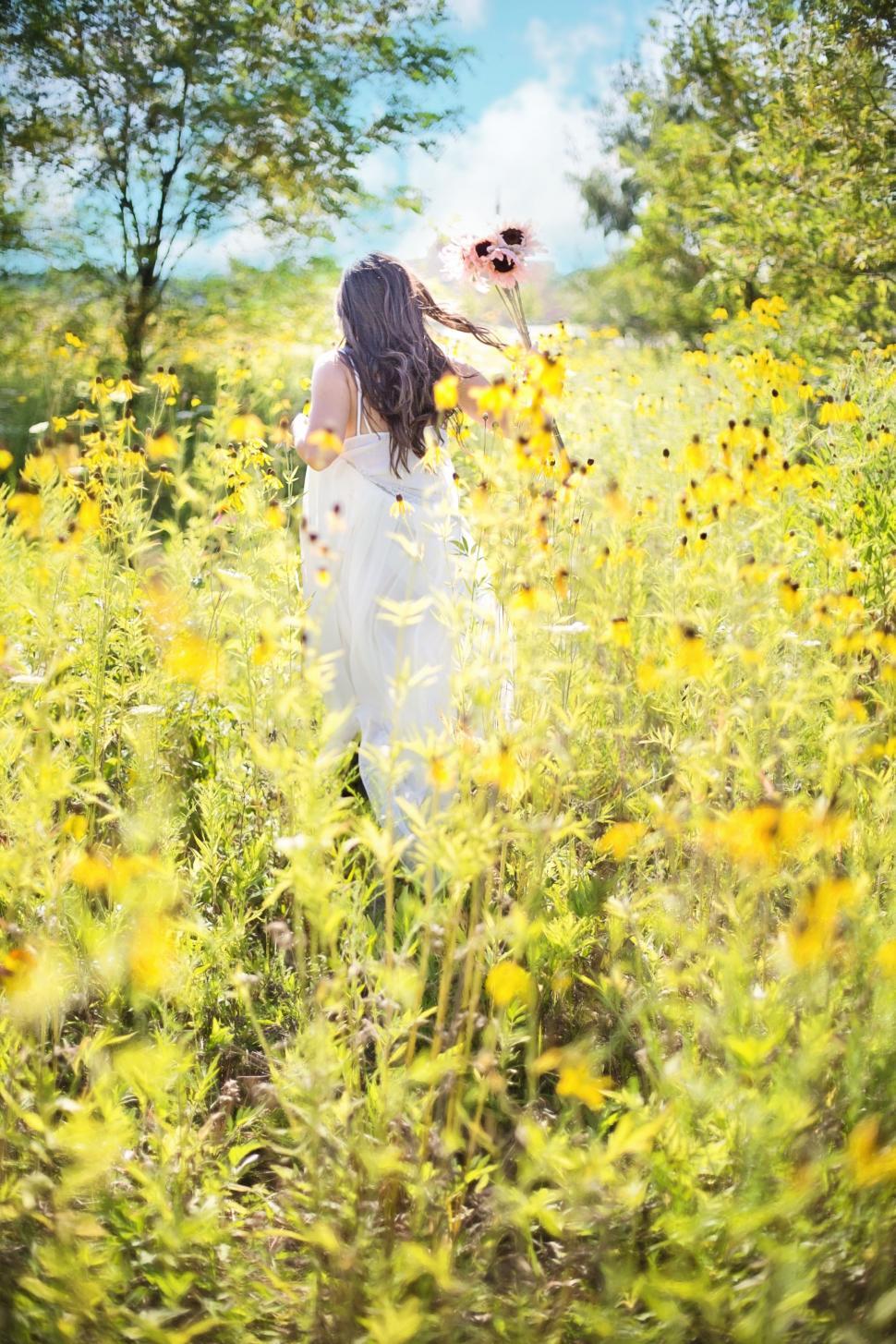 Free Image of Back view of woman walking in wildflower field  