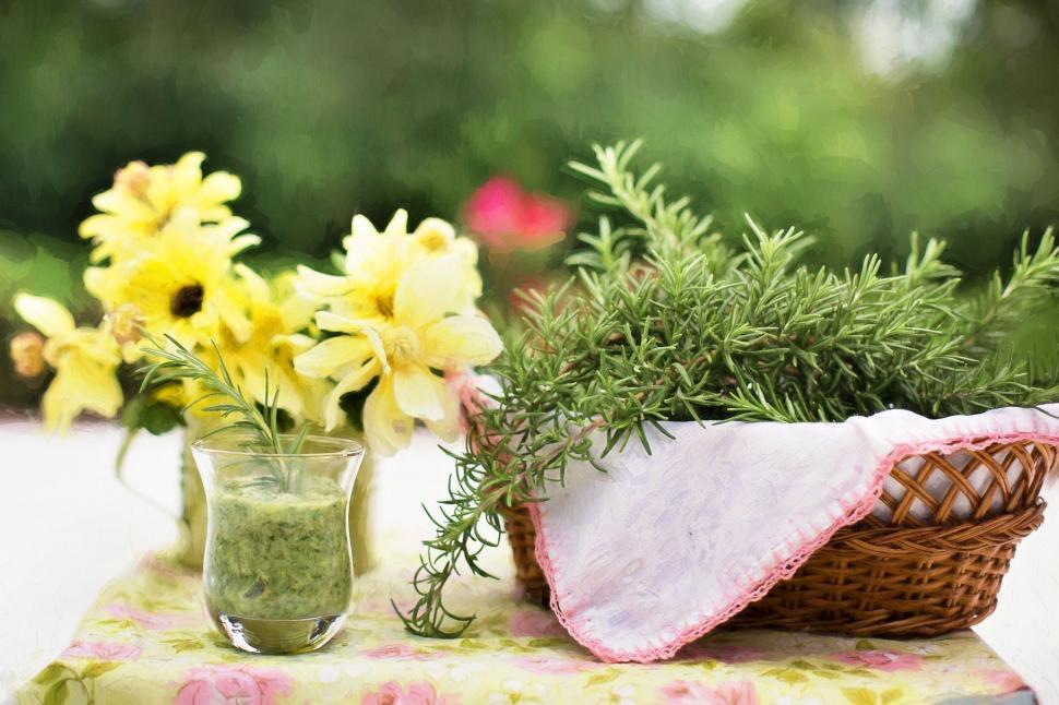 Free Image of Yellow Flowers and Rosemary leaves 