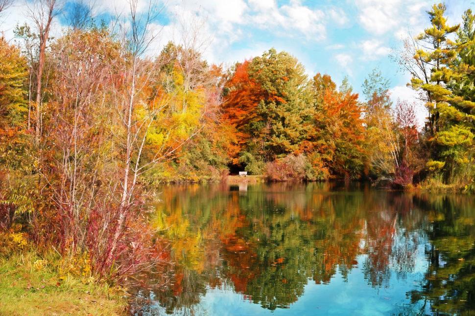 Free Image of Lake and Autumn Trees  
