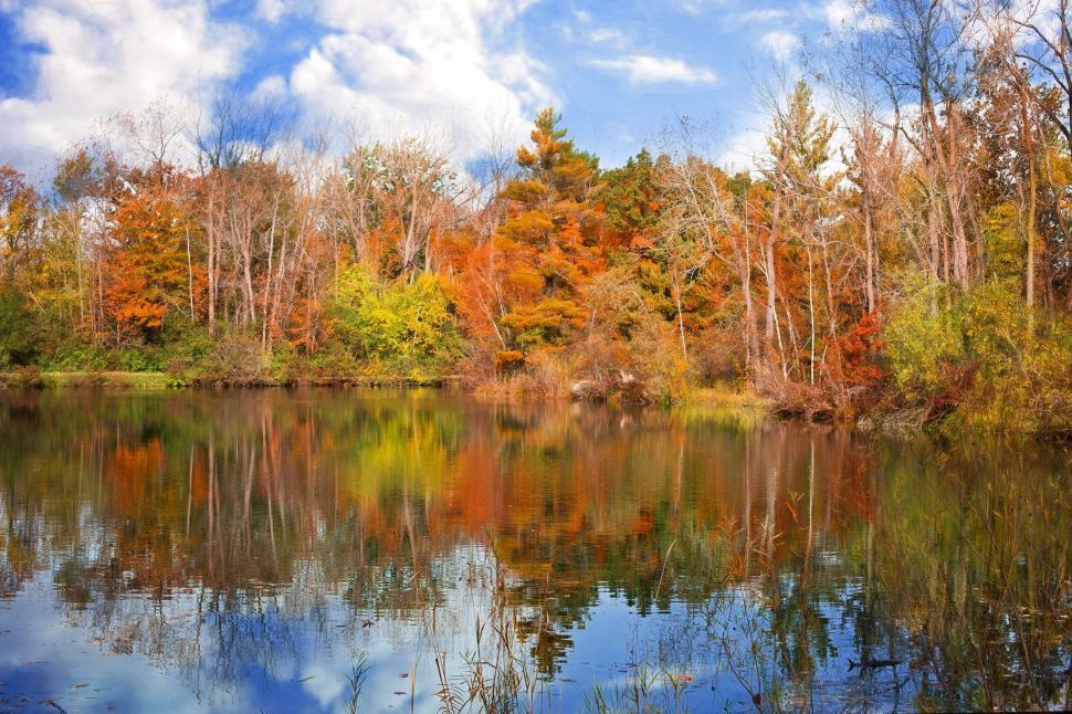 Free Image of Autumn Trees and Lake  