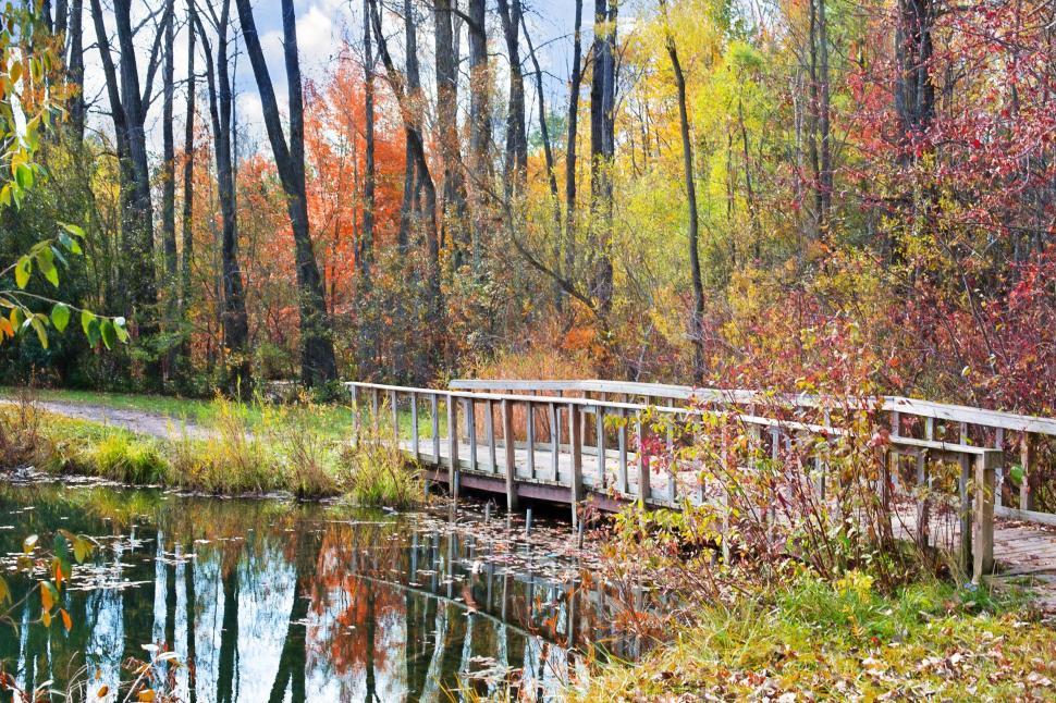 Free Image of Wooden Bridge And Pond In the garden 