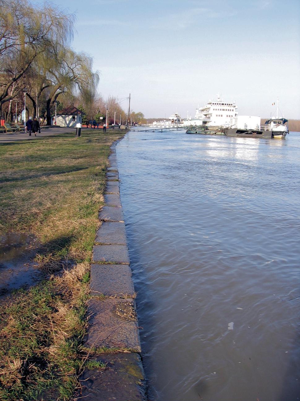 Free Image of flood water on local park walkway after heavy rain fall 
