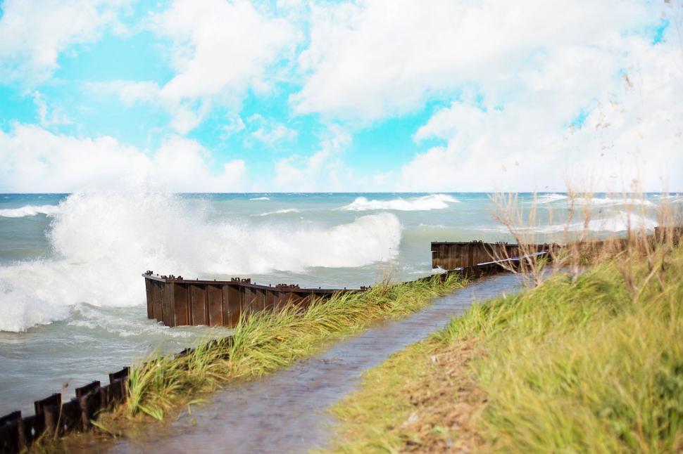 Free Image of Seashore With Grass and Waves 