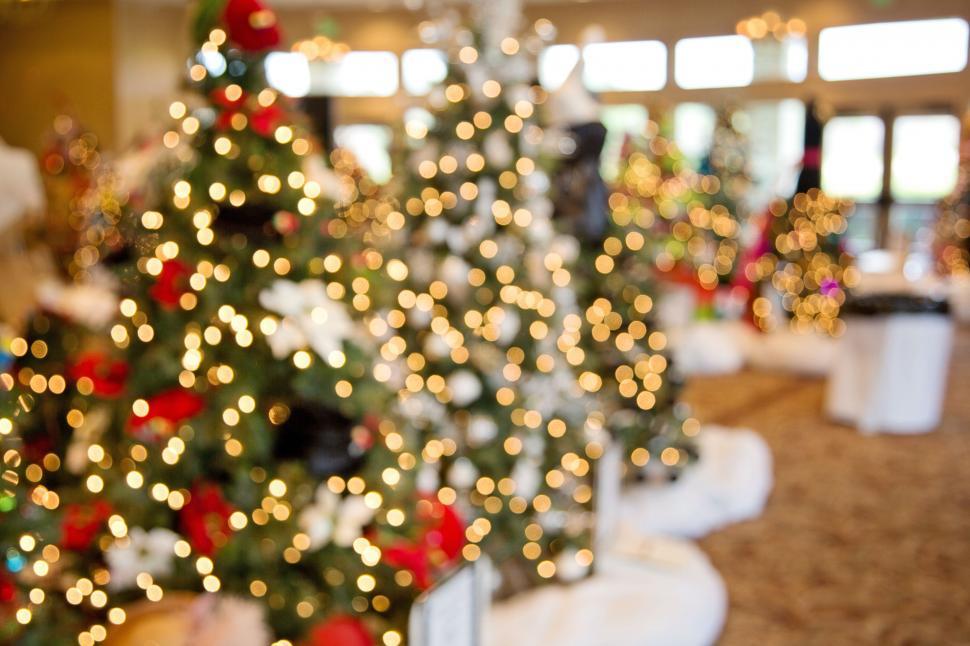 Free Image of Christmas Lights 