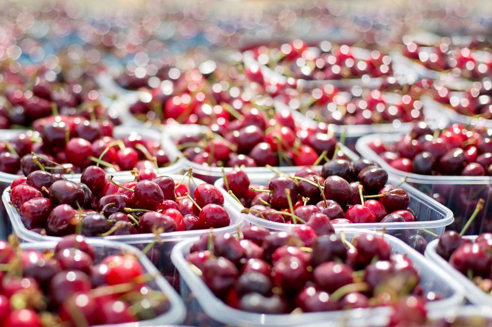 Free Image of Red Cherries  