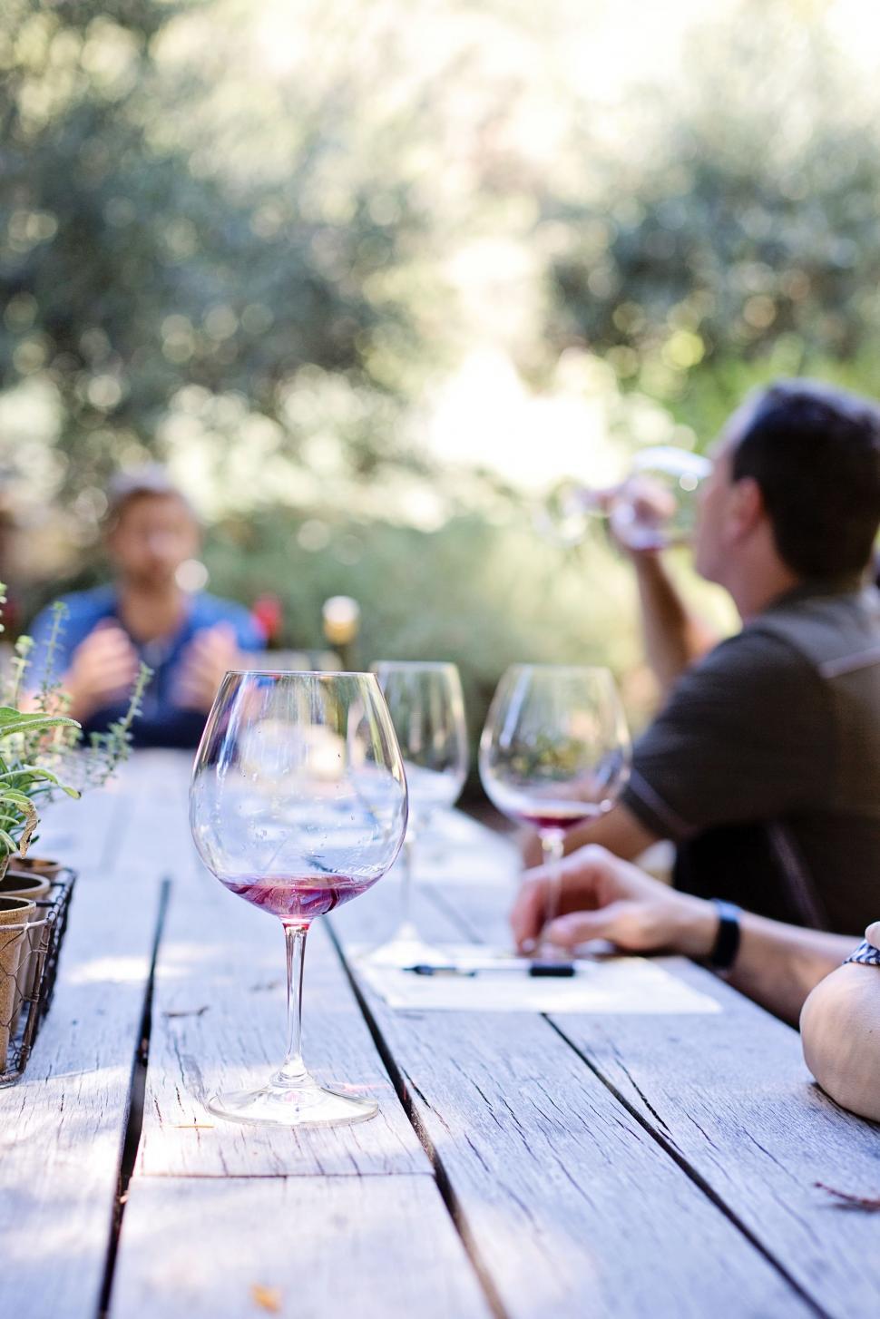 Free Image of Wine Glass and People - Wine Tasting  