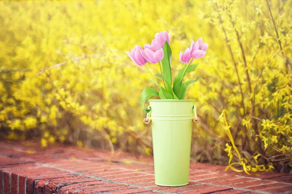Free Image of Pink Flowers in vase with yellow flowers in the background 