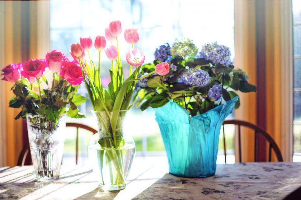 Free Image of Bouquet of flowers 