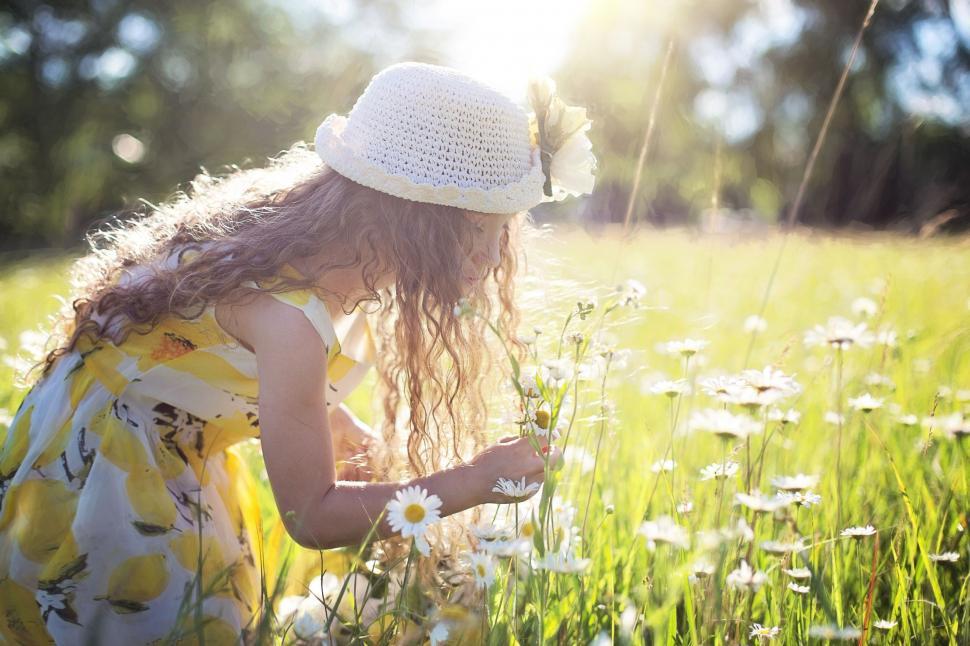 Free Image of Little Girl in White Hat in Daisy Field  