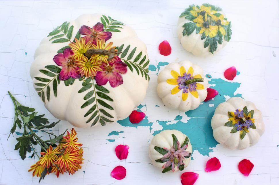 Free Image of White pumpkins and red flower petals 