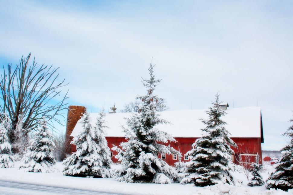 Free Image of Trees and Barn in Snow 