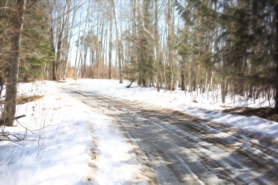 Free Image of Snowy Road and Trees  