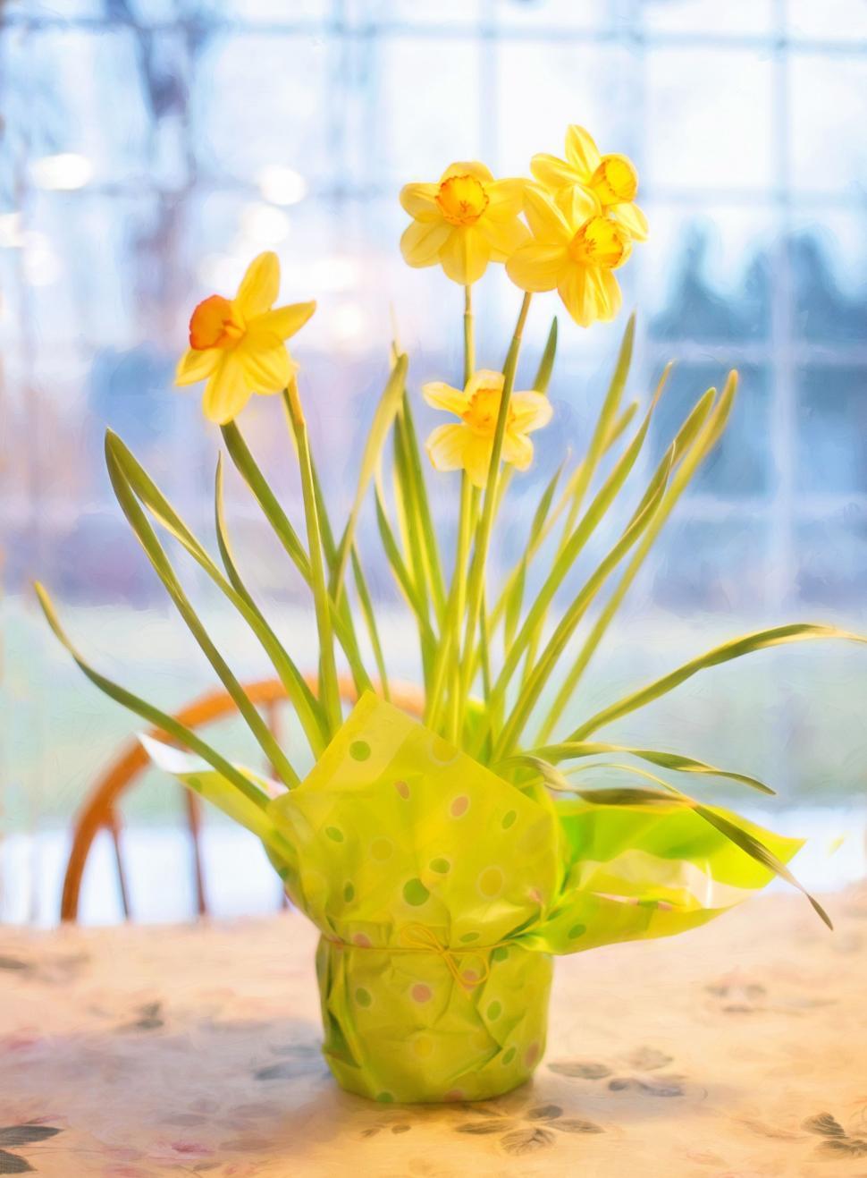 Free Image of Yellow Flowers 