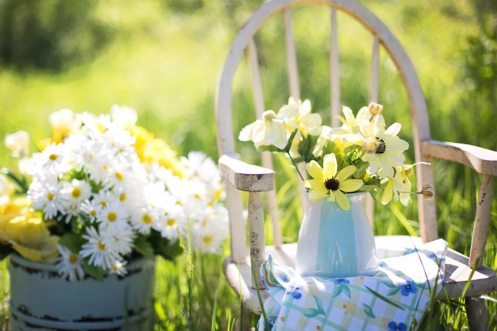 Free Image of Flower Pot on Chair in the meadow 