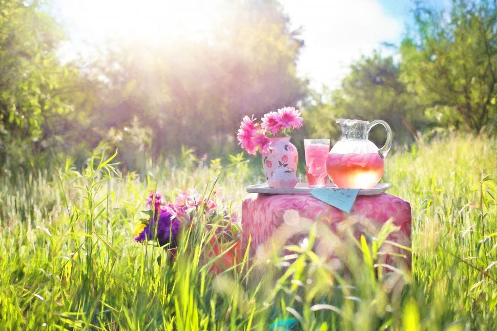 Free Image of Pink Flowers in a vase with green grass  