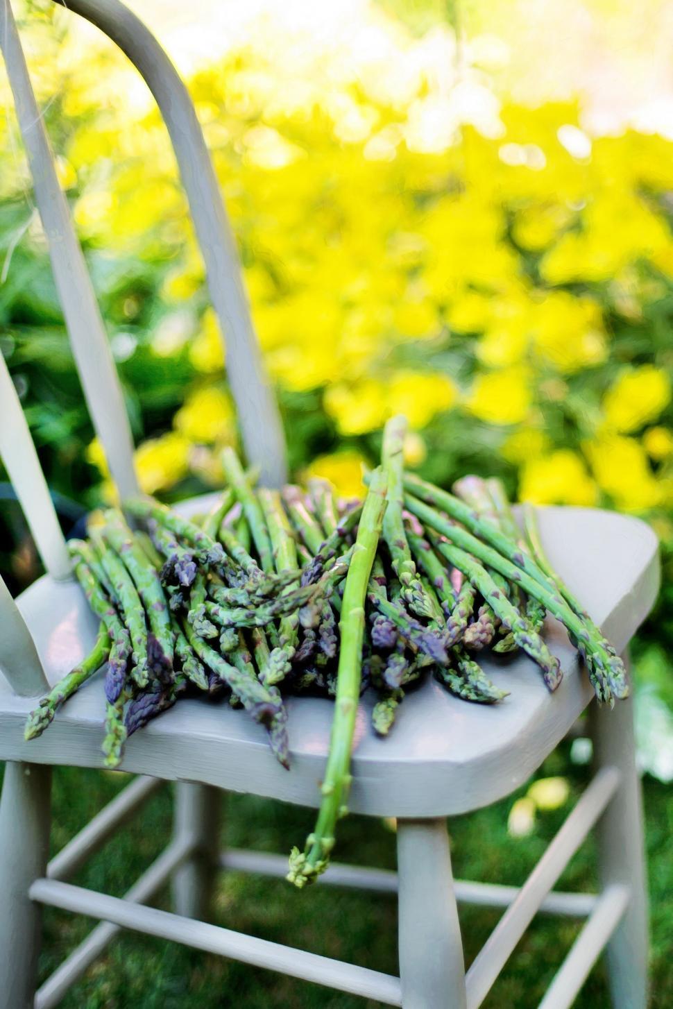 Free Image of Asparagus (vegetable)  