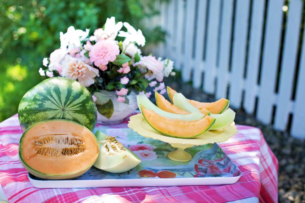 Free Image of Cantaloupe melon 
