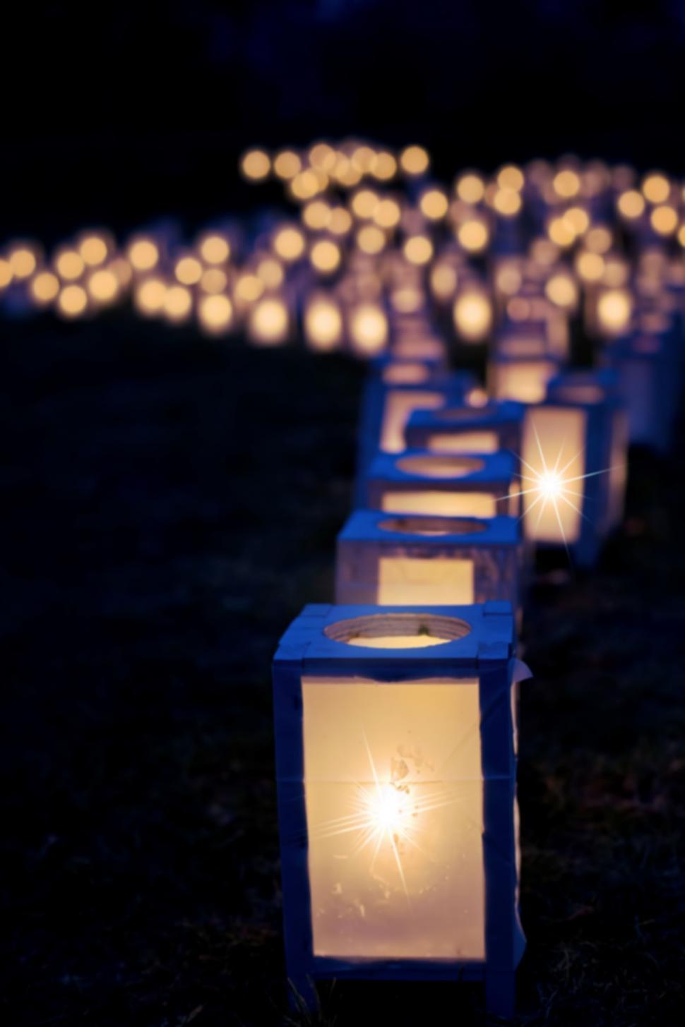 Free Image of Christmas luminaries 