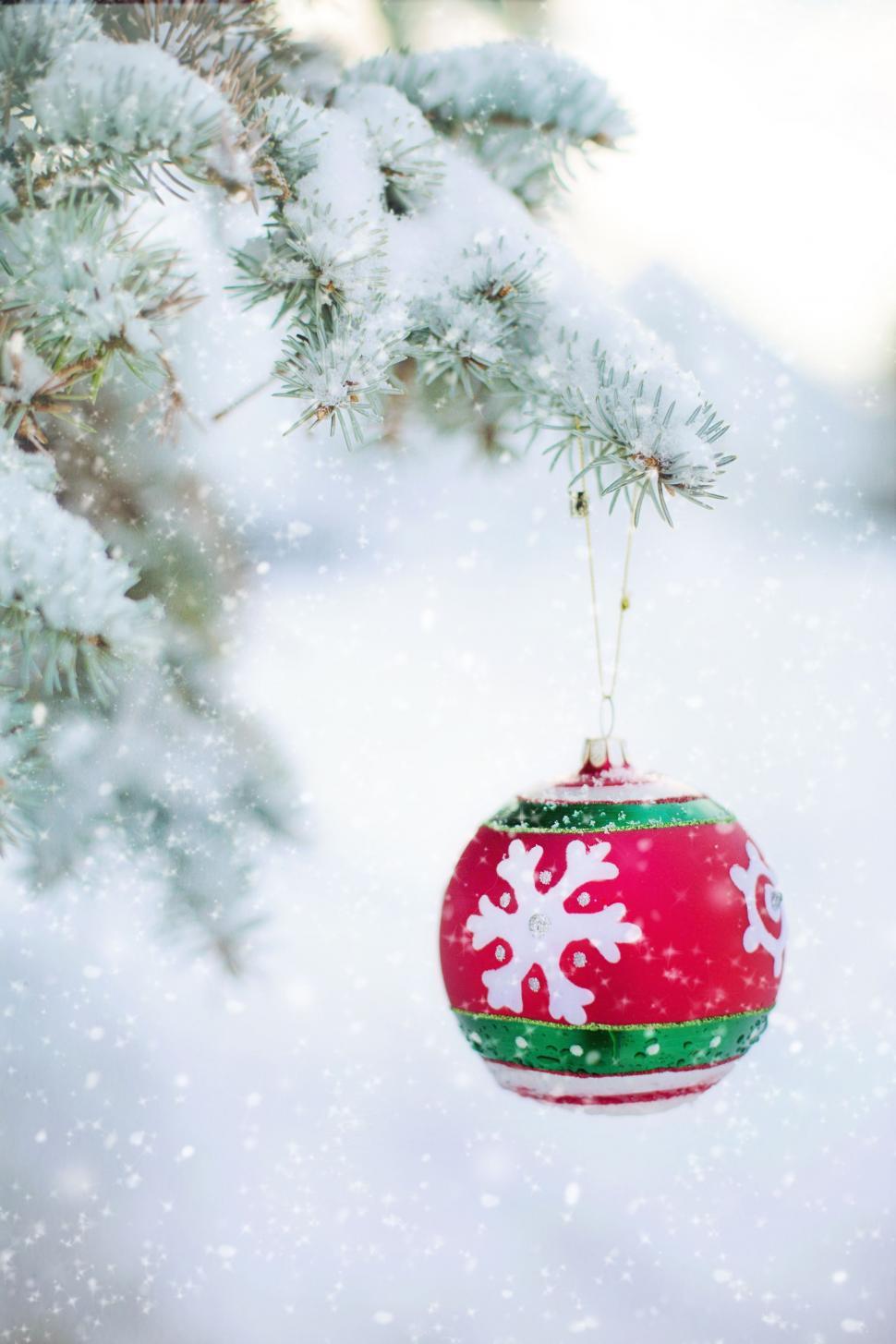 Free Image of Christmas ball and tree in snow 