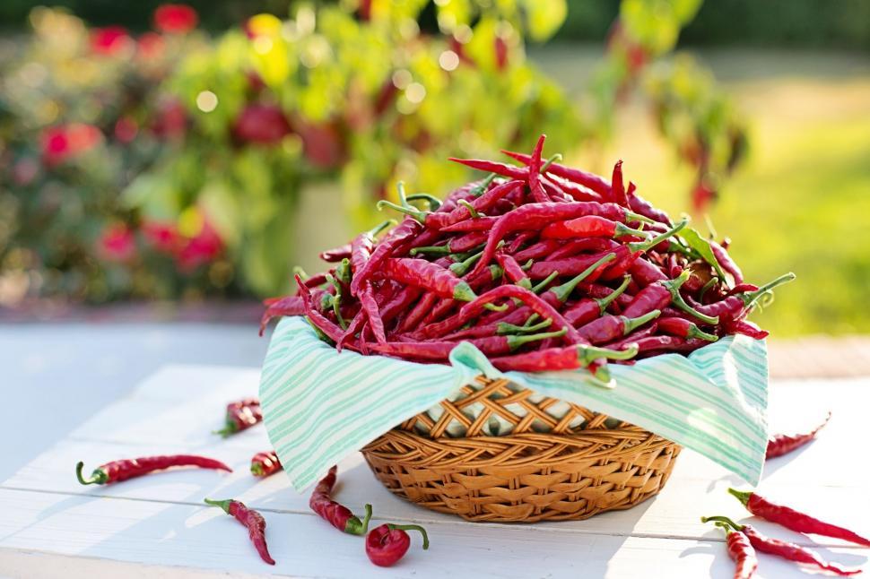 Free Image of Chili peppers 