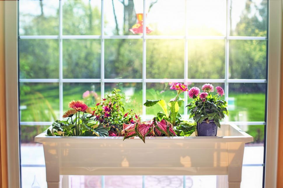 Free Image of Flower Box 