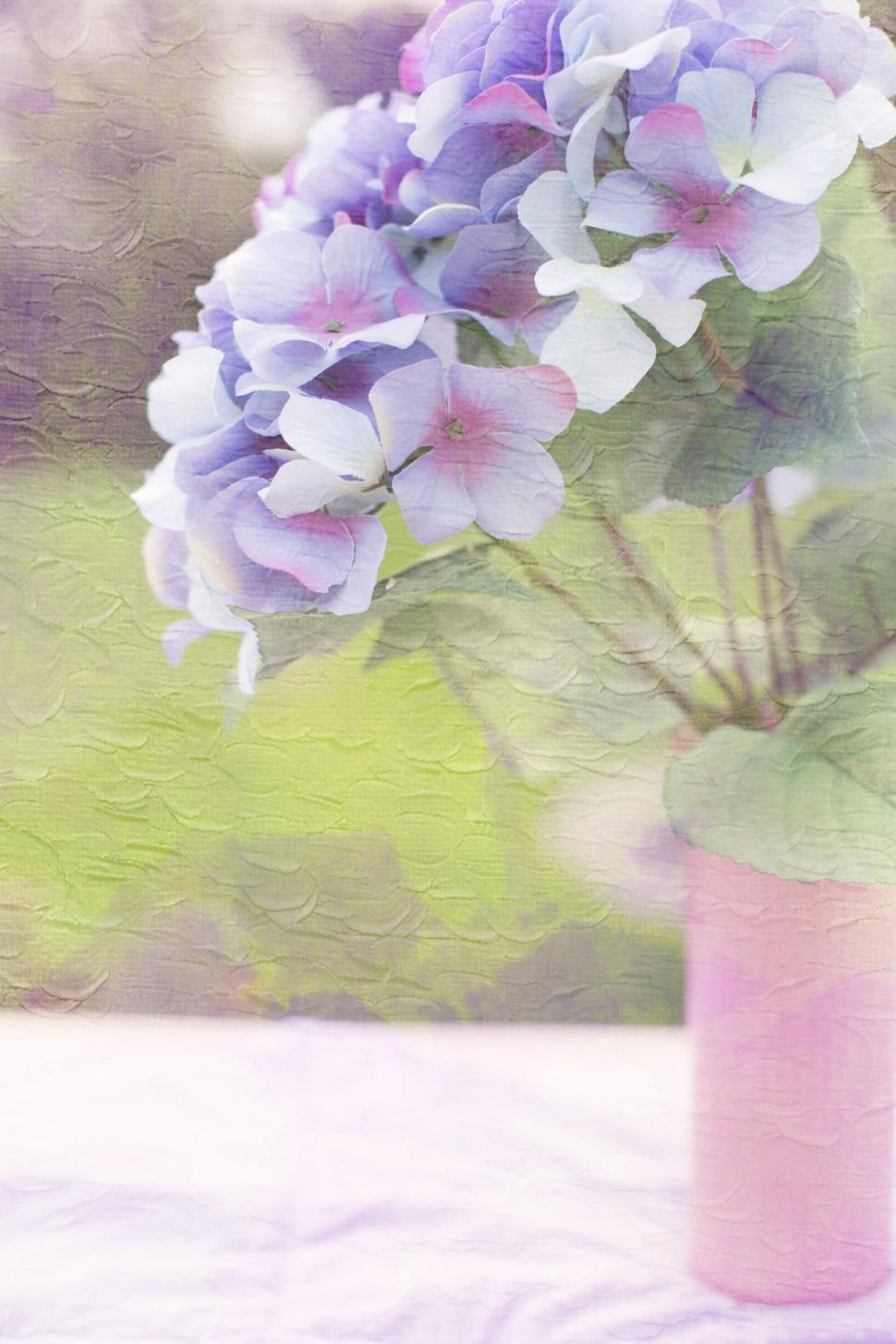 Free Image of Hydrangea Flowers - Painting  
