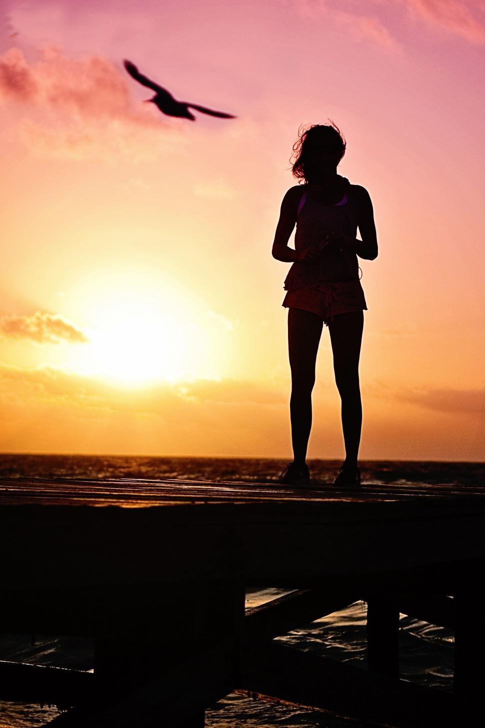 Free Image of Woman and Sunset with Bird 