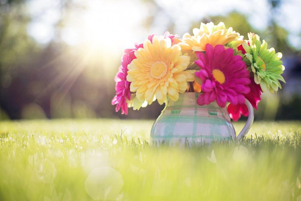 Free Image of Colorful flowers in pitcher 