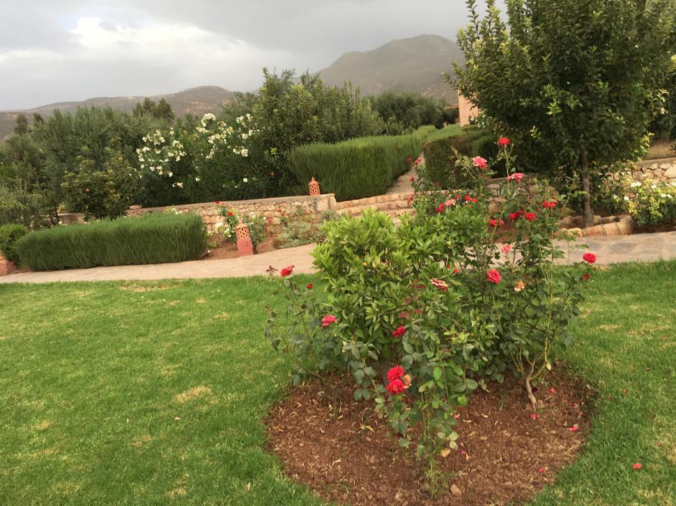 Free Image of Flower Bed Surrounded by Lush Green Yard 
