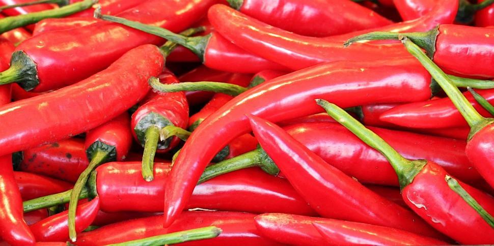 Free Image of Chili peppers 