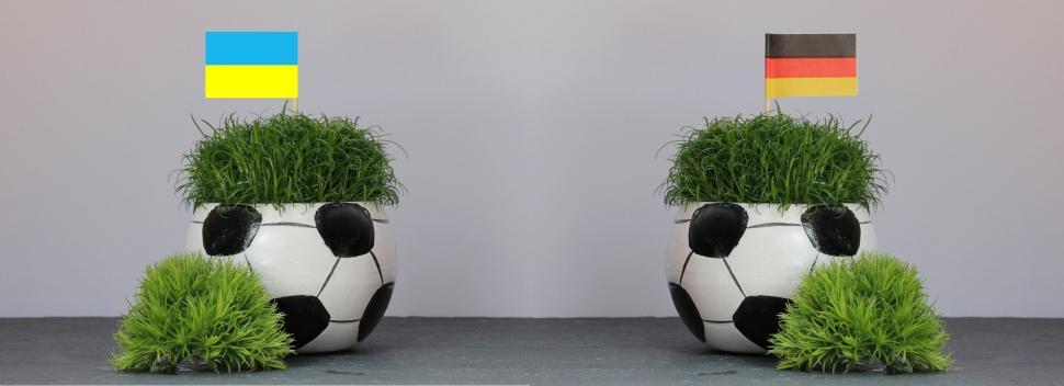Free Image of Two Football Shaped Pot with Green Leaves 