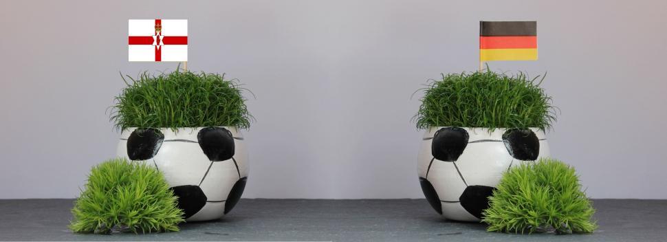 Free Image of Two Football Shaped Flower Pot with Green Grass 