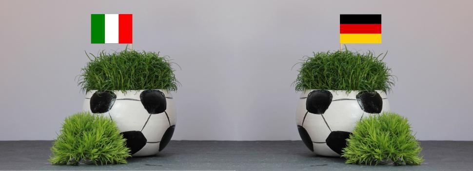 Free Image of Two Football Shaped Pot with Green Grass 