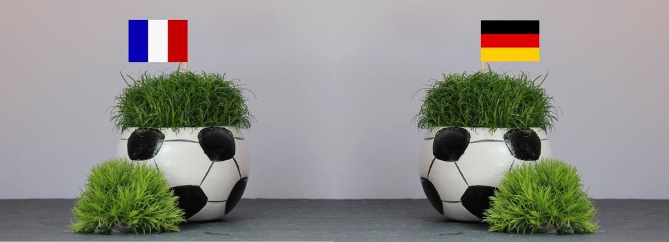 Free Image of Football Shaped Flower Pots with Green Grass 