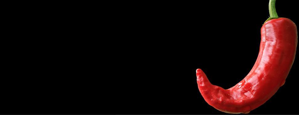 Free Image of Red pepper - Space for text 