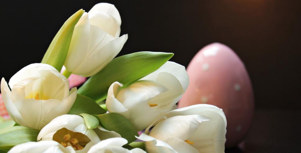 Free Image of Flowers and Easter Egg 