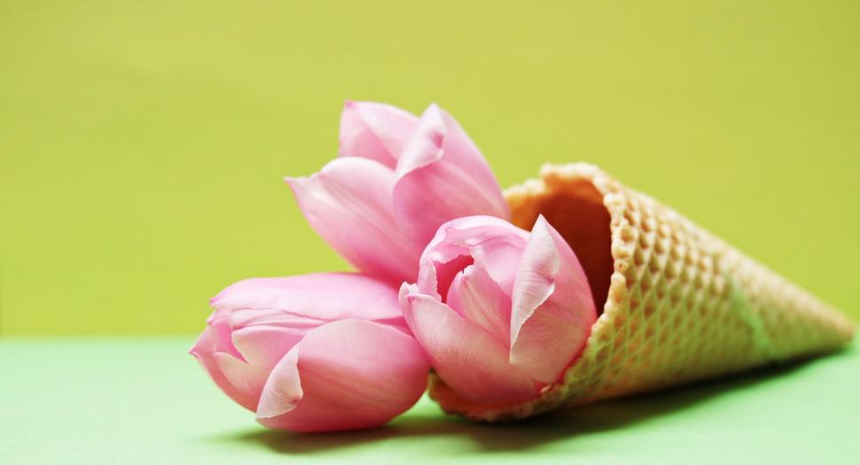 Free Image of Waffle cone and pink flowers 