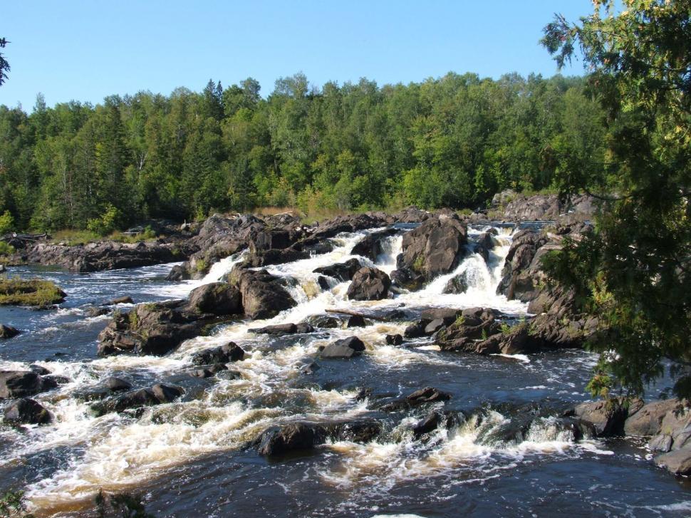 Free Image of River Flowing Through Lush Green Forest 