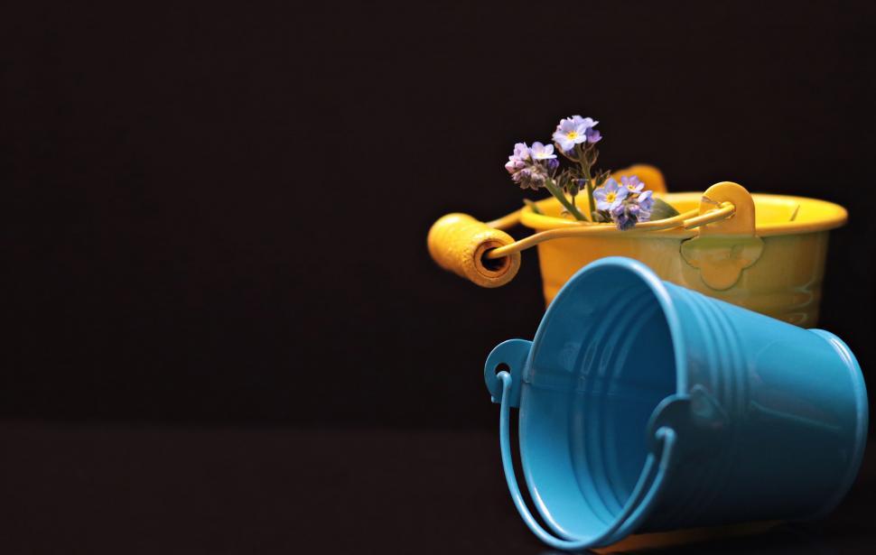 Free Image of Two buckets and purple flowers - copy space 