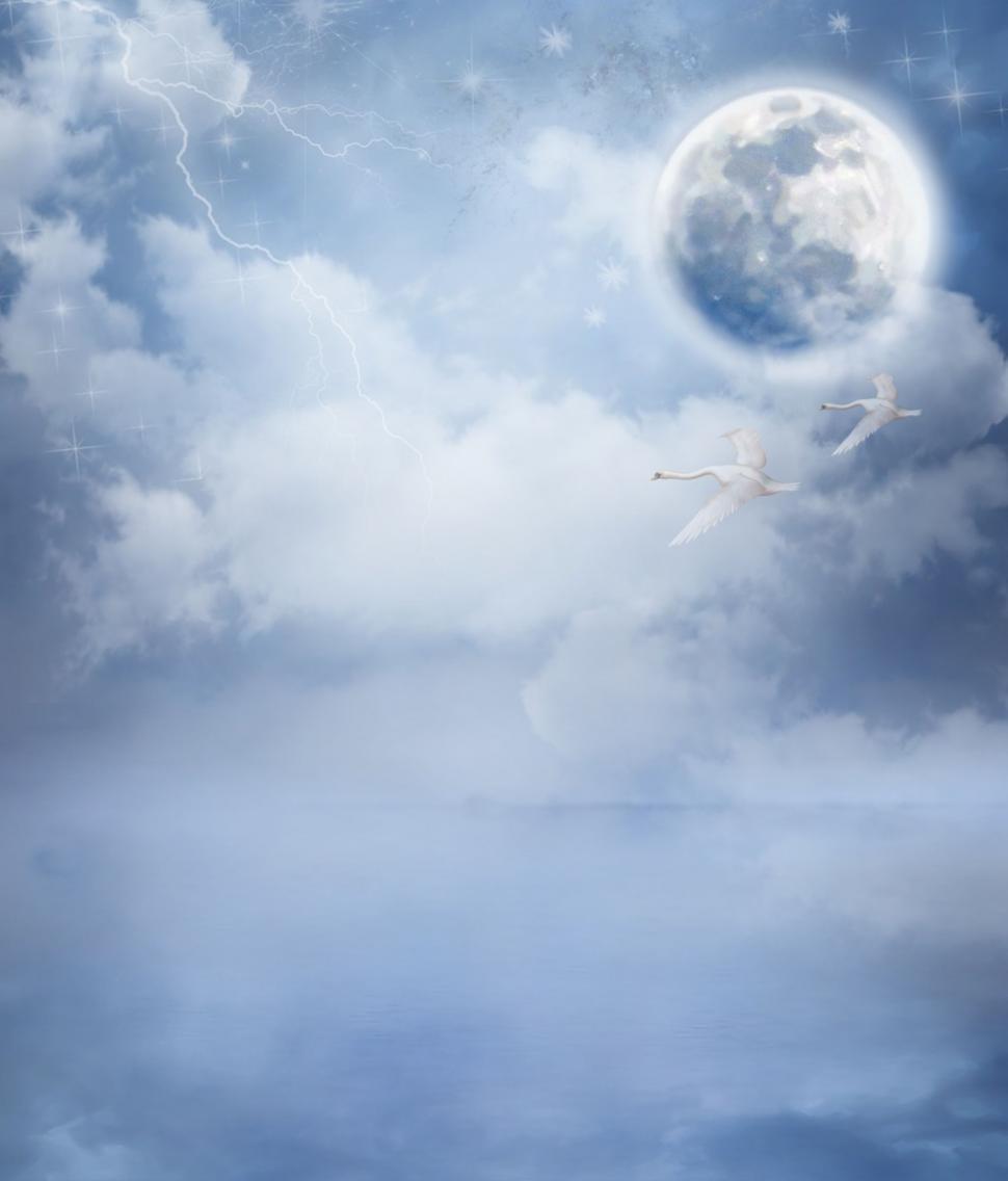 Free Image of Swans and Moon 