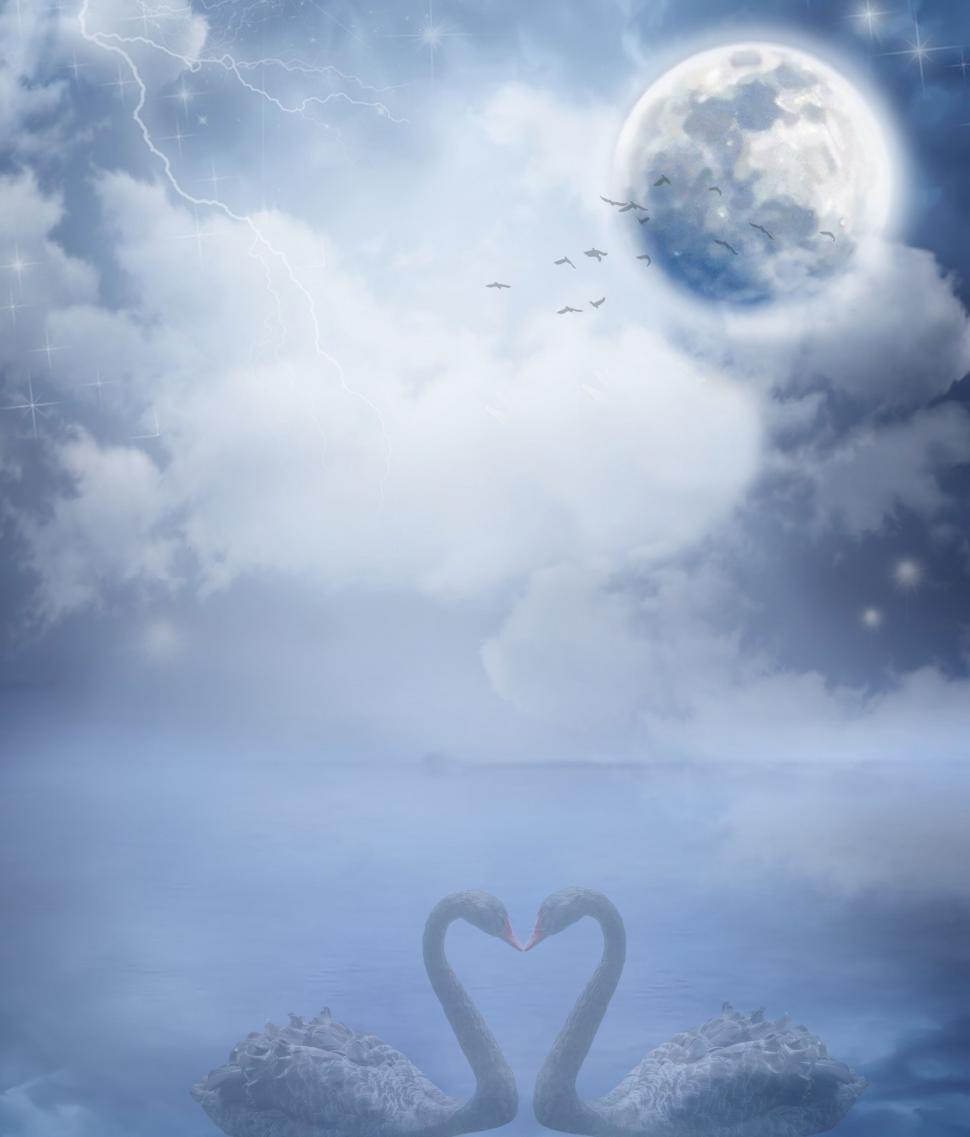 Free Image of Two Swans And Lake With Moon 