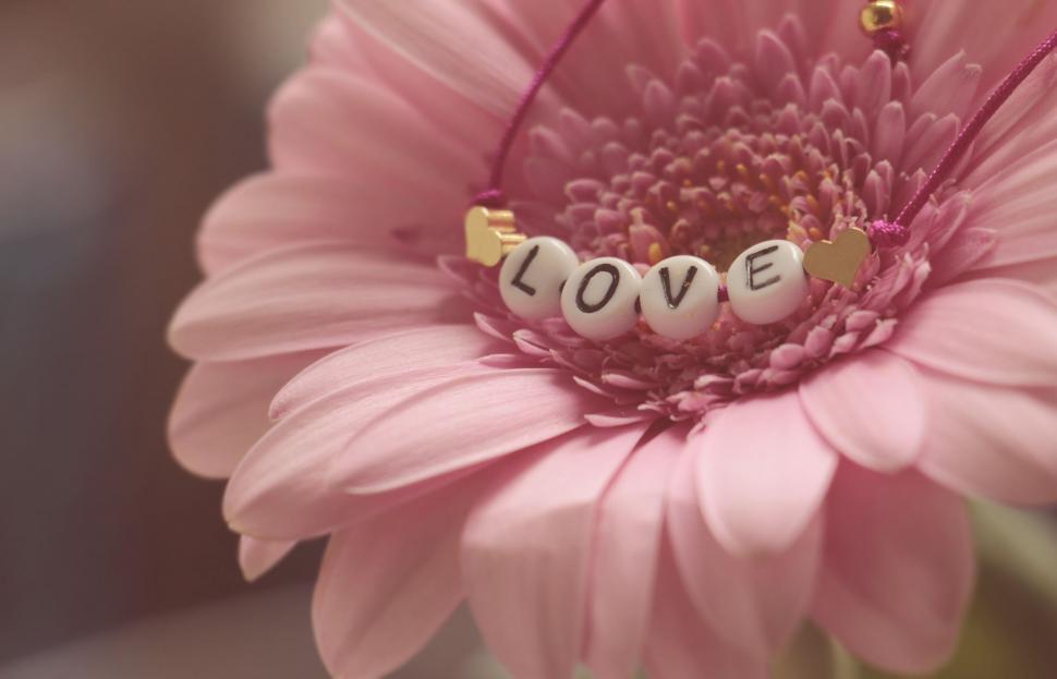 Free Image of Pink Flower and Love Bracelet  