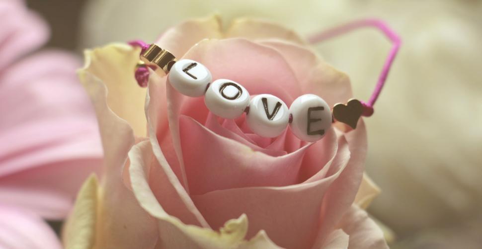 Free Image of Pink and yellow flower with love bracelet 