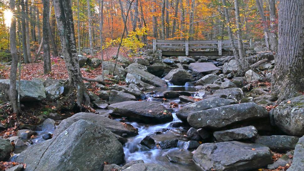 Free Image of Wooden Footbridge Crossing Brook with Boulders 
