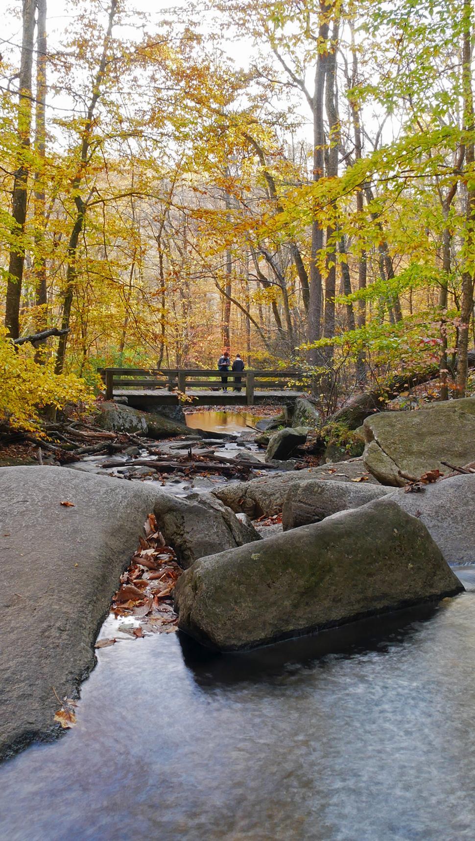 Free Image of Wooden Bridge Across A Stream 
