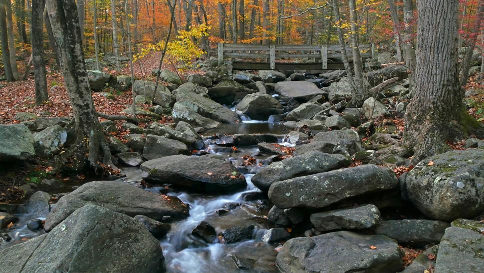 Free Image of Wooden Footbridge Crossing Brook with Boulders 
