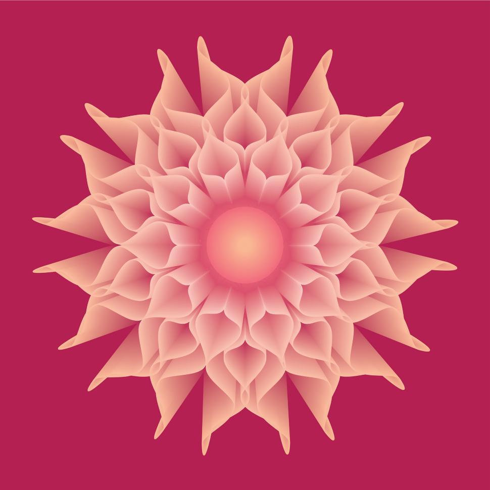 Free Image of A digital vector flower design Flower 