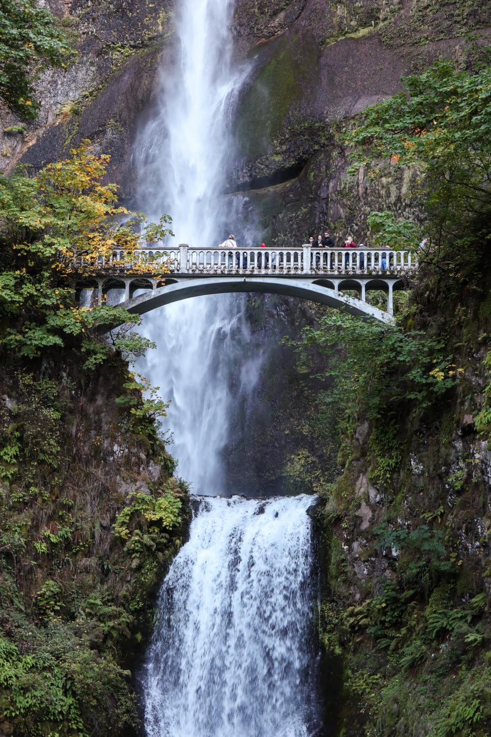 Free Image of Bridgeat Multnomah Falls, Pacific Northwest, Oregon, USA 