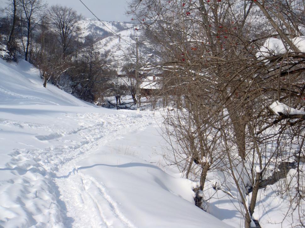 Free Image of Heavy snow fall over rural mountain path 